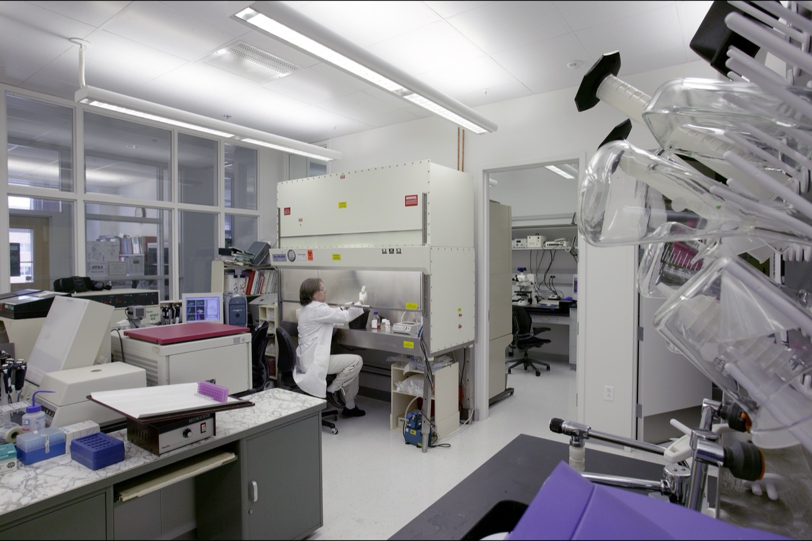 A scientist seated at a biosafety cabinet in a laboratory at the FDA's White Oak campus