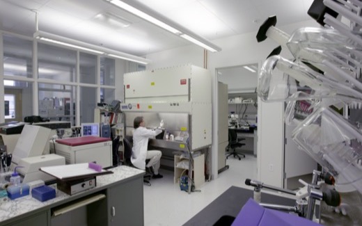 A scientist working at a biosafety cabinet in an FDA laboratory