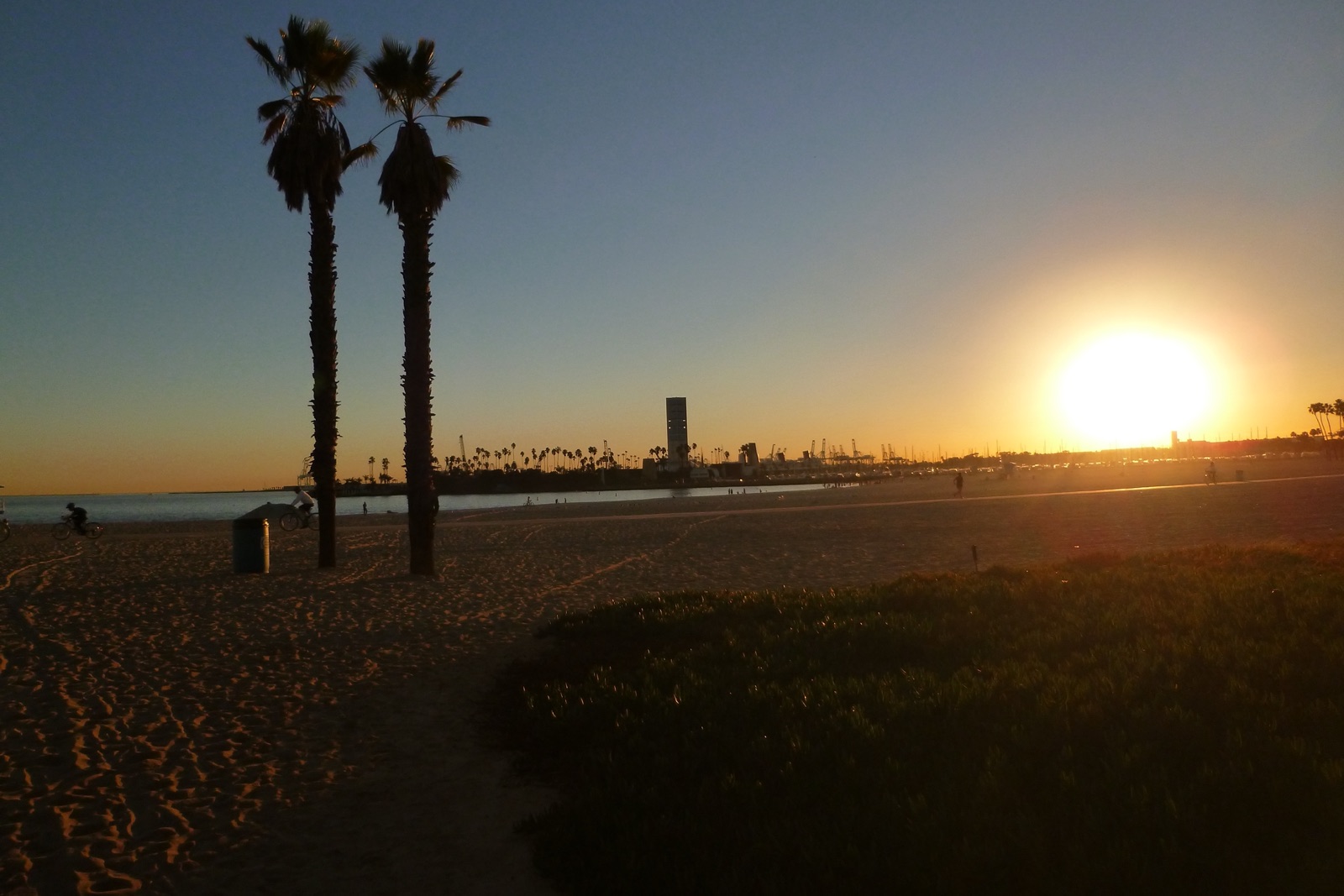 Palm trees silhouetted against the sunset on the beach at Long Beach, California