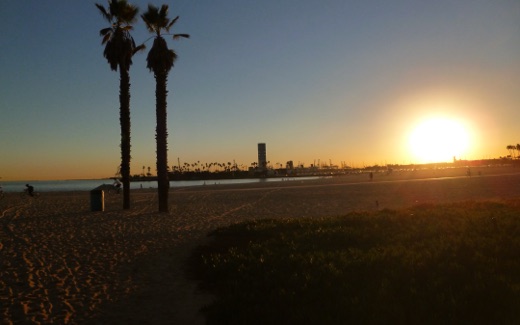 Palm trees silhouetted against the sunset on the beach at Long Beach, California